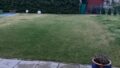 eigener Garten