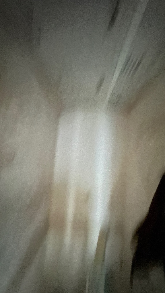 Foto der Immobilie (24692)